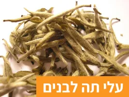 עלי תה לבנים מיובשים