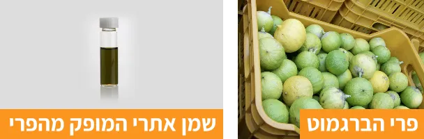 פרי ושמן הברגמוט